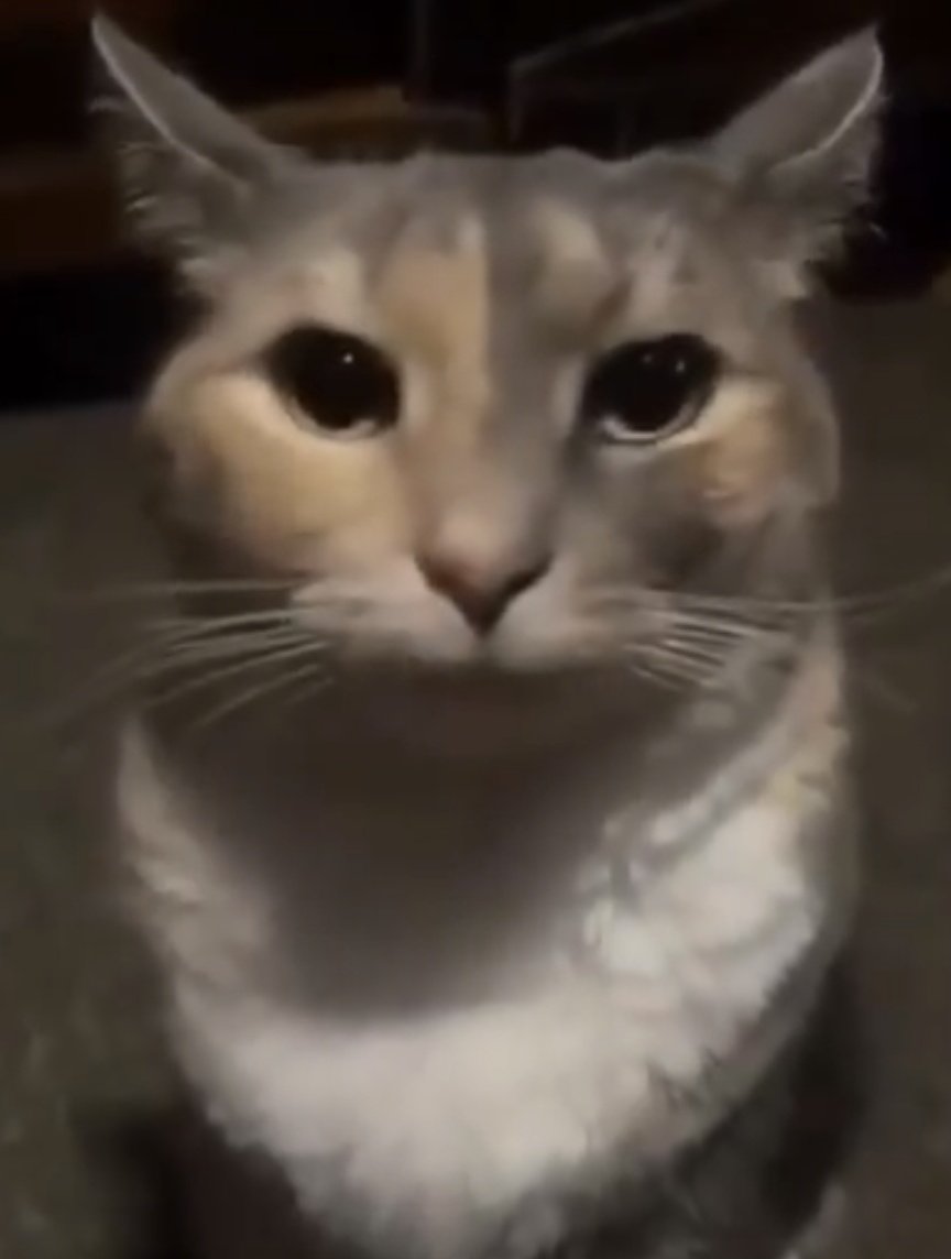 Me after I get accused of tunneling in 1v1