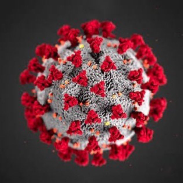 Thomas Seyfried.

Seyfried, 30 yılı aşkın süredir kanser üzerine çalışan bir biyoloji profesörü.

Kanser, kötü genler ya da kötü şans değil hasar görmüş mitokondrilerden kaynaklanıyor.

Kanseri önleme ve tedavi etme konusunda şimdiye kadar anlatılan her şeyi tersine çevirdi. 👇🏻