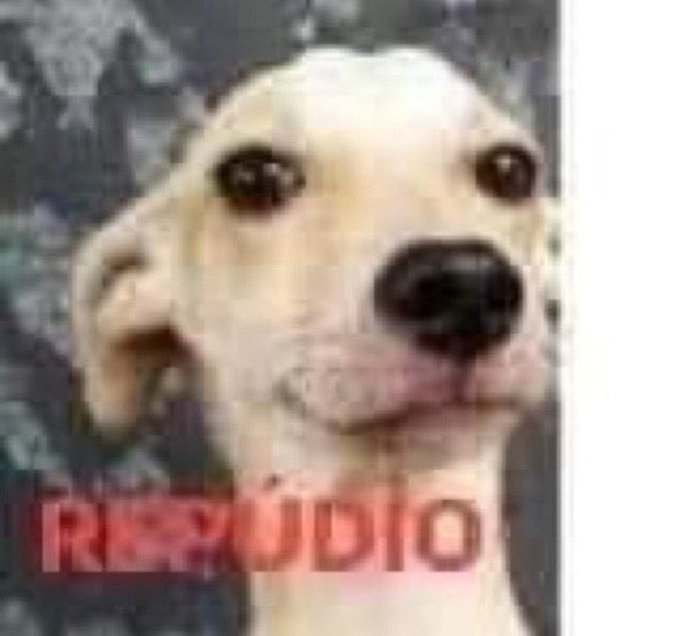 rapais divamaria me apronta cada uma