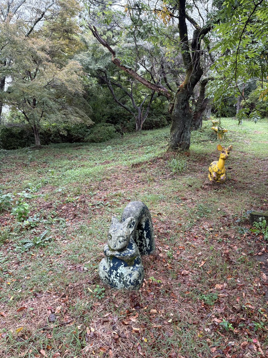 jklppof's tweet photo. 寂しくない、怖くもないし、楽しくもない。
合理化され過ぎた世界から取り残された場所を歩きたいだけの休日を過ごしてます。 https://t.co/xb1PGZ8z4s