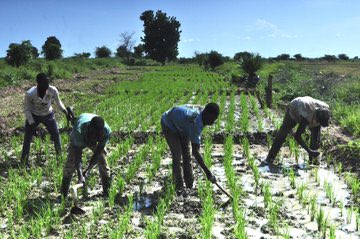 <a href="/antonioguterres/">António Guterres</a> <a href="/UNFPA/">UNFPA</a> apporte son avantage comparatif pour 
🔸Créer un environnement propice à l’engagement &amp; participation civique des jeunes
🔸Renforcer leurs capacités 
🔸Améliorer le dialogue intergénérationnel
🔸Prévenir les conflits entre Personnes déplacées/réfugiés &amp; Communautés hôtes