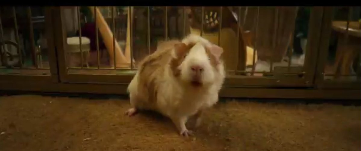 JSJSJSJSJSJSJ SEÑORAS Y SEÑORES, PERCY JACKSON