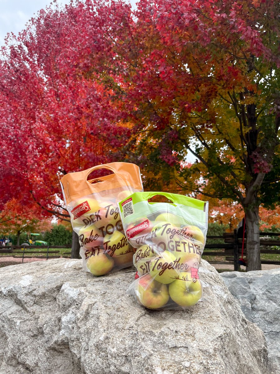 Nara – Toronto tweet media