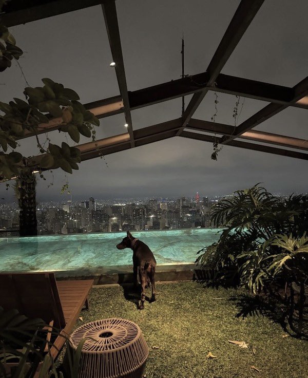 futebol_info's tweet image. A lista de regalias que Memphis Depay possui na suíte em que o Corinthians pediu para o holandês sair:

• Chef exclusivo
• Gerente de relacionamento exclusivo
• TV com tela de 136 polegadas
• Carro blindado
• Motorista 24 horas
• Violão exclusivo
• Agente de segurança
•…