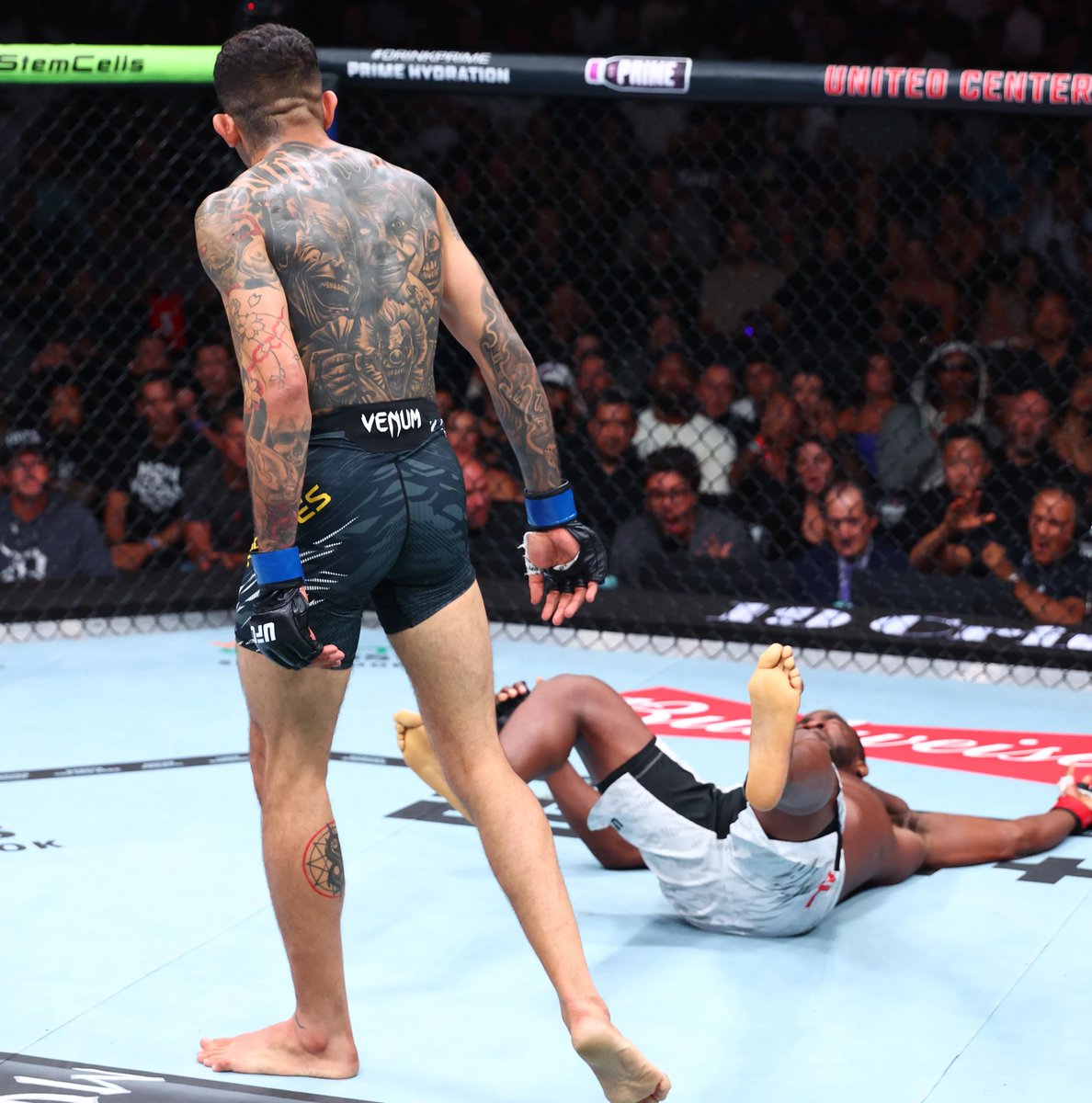 Left Hook MMA tweet media