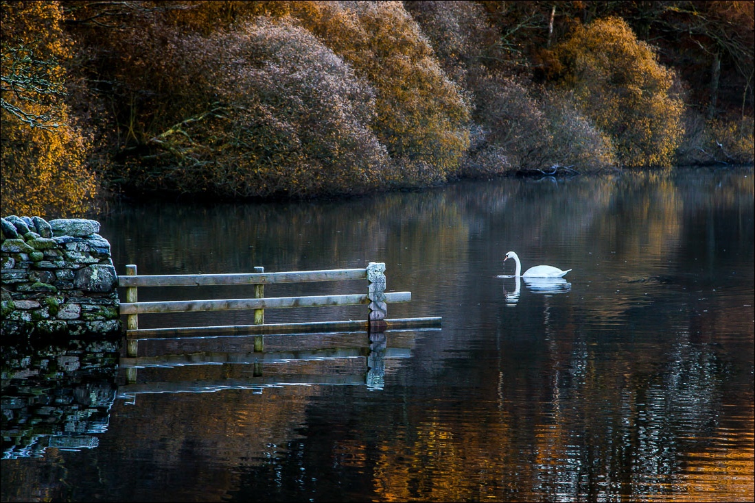 andrewswalks's tweet image. Loweswater #LakeDistrict