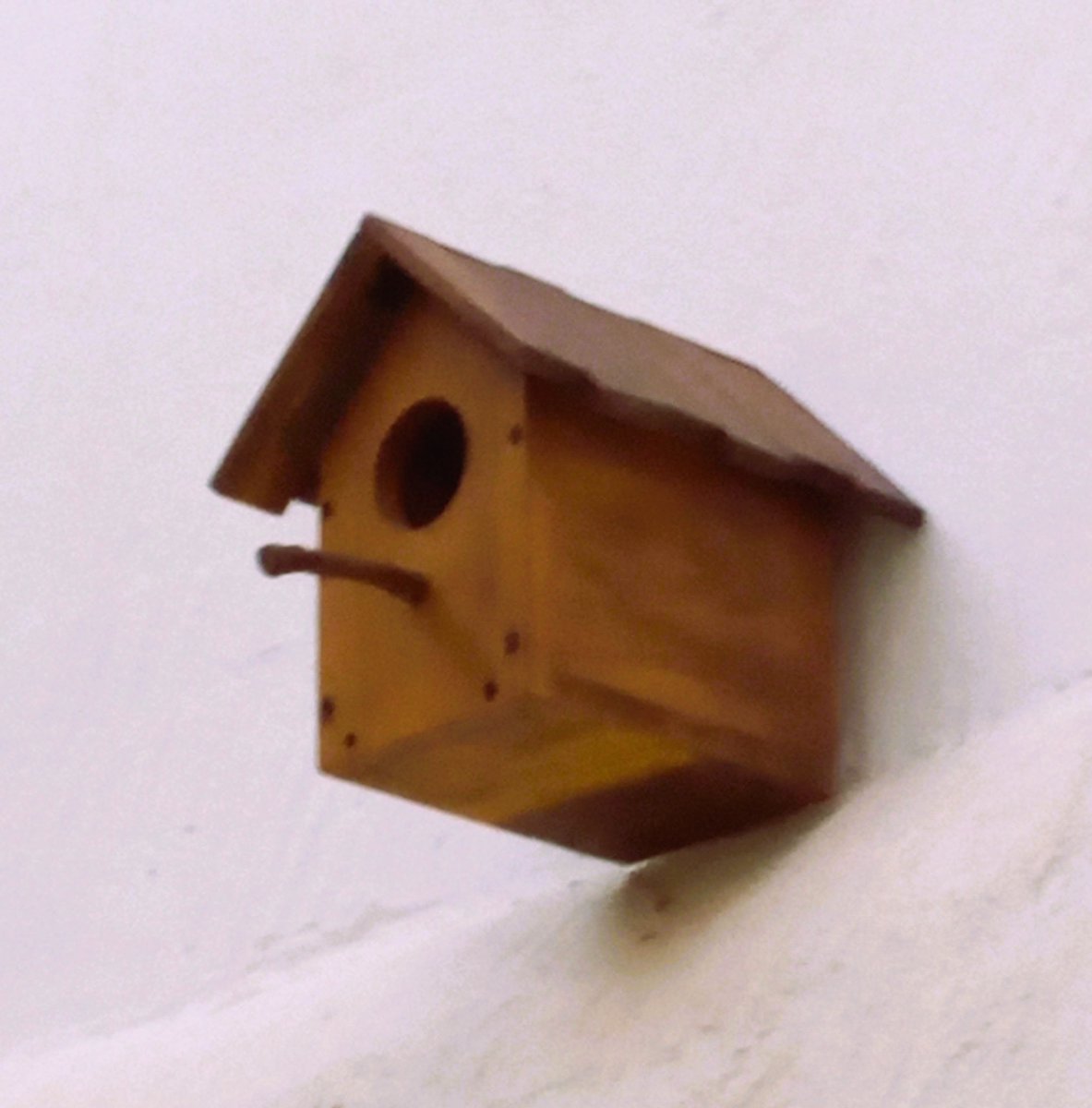 monclus's tweet image. 