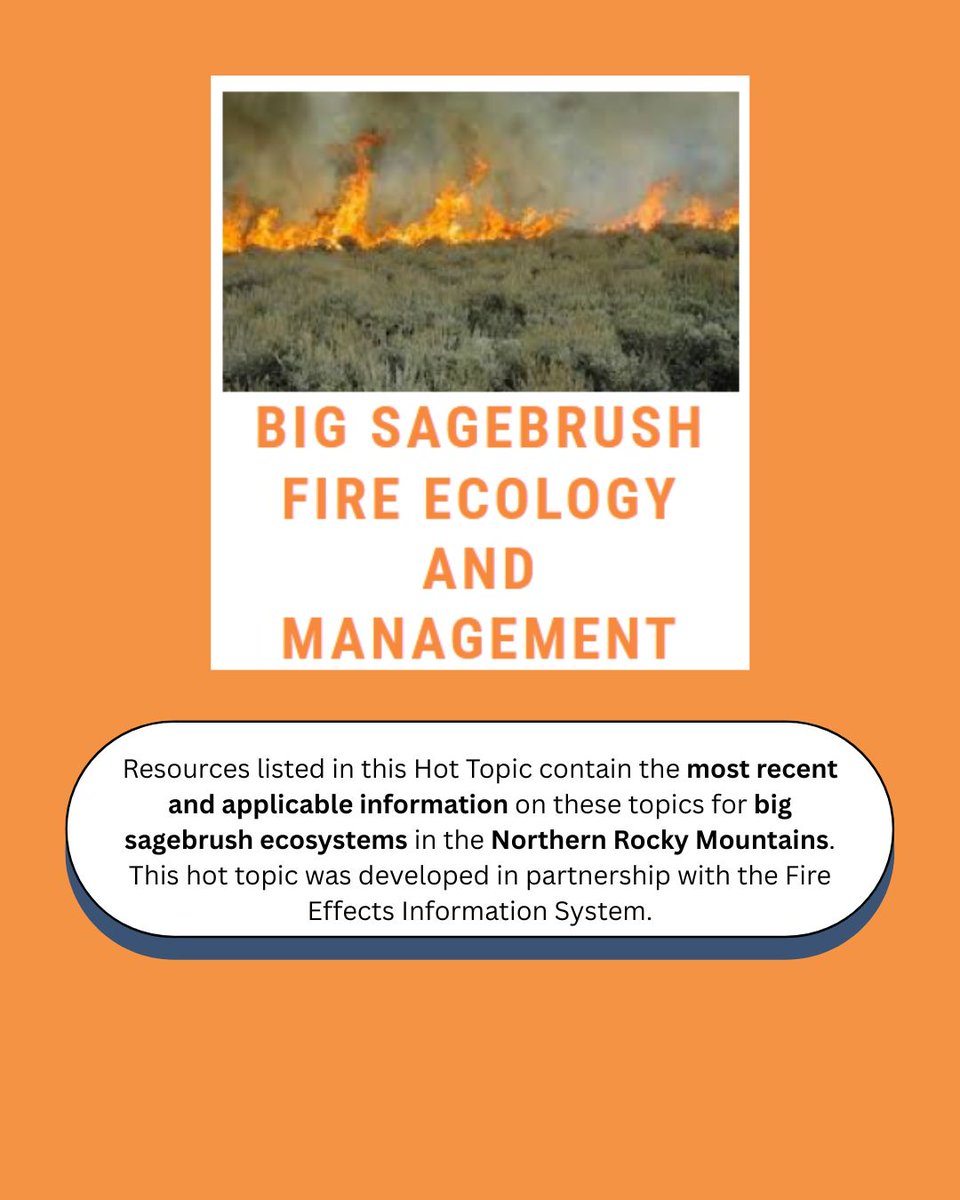 Curious about big sagebrush fire ecology and management? Visit our Hot Topic page on the subject to find curated resources: buff.ly/nKeUaEq