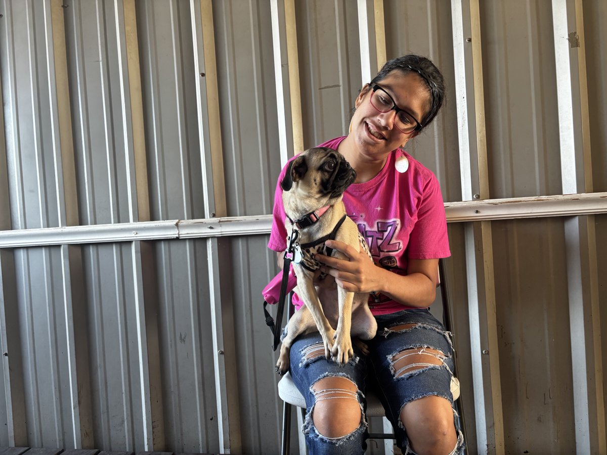 CCPAACTX's tweet photo. At PAAC, we believe every pet deserves access to quality care without breaking the bank. 🐾 If you're in South Texas and need affordable veterinary services, we're here for you! Check us out: https://t.co/0Rzk0Upd8X #PetHealth #AffordableCare https://t.co/ajX4td0X4B