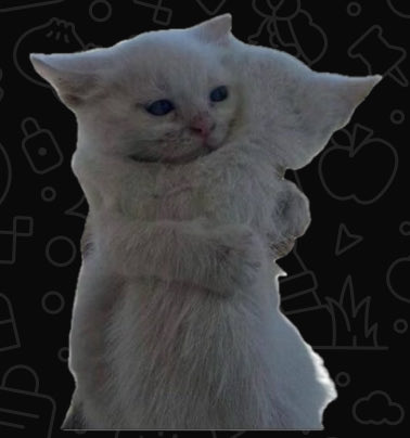 datcatmann's tweet photo. https://t.co/ekzoG6nN8z