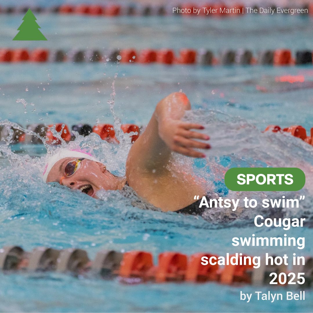 The Daily Evergreen tweet media