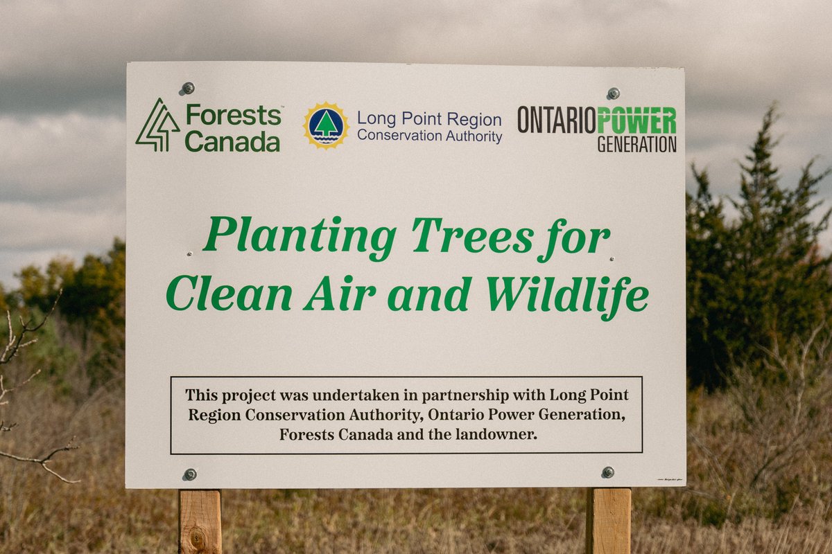 longpointca's tweet image. We had such a fun time with @forestscanada and our neighbouring CAs during the fall field tour! We took a  tour around the Long Point Region watershed to visit various partnering tree planting sites and had some knowledge sharing discussions at each stop 🌲🍂