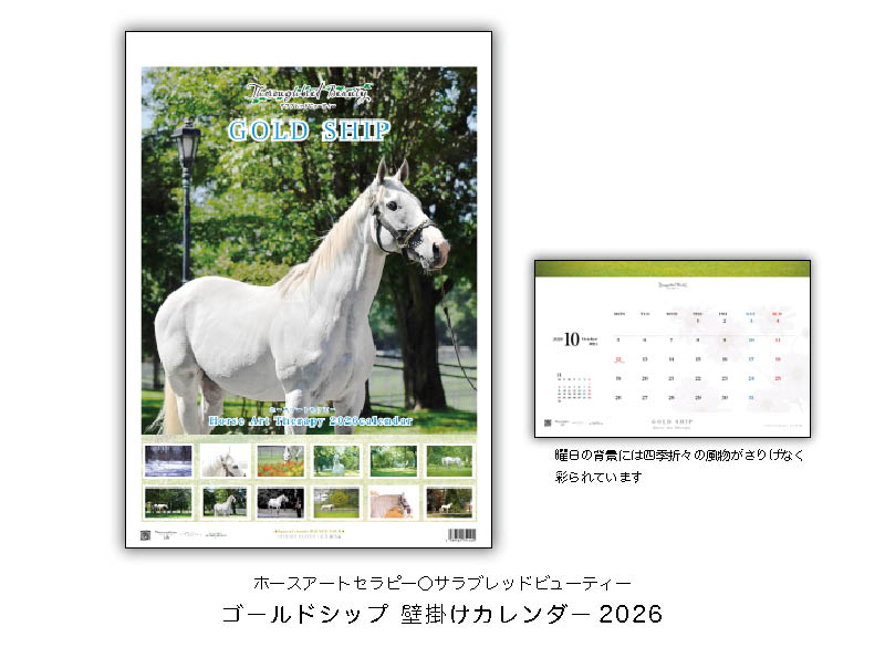 sala__life's tweet photo. ゴールドシップ壁掛け・卓上カレンダー2026第三弾！●写真家関真澄氏によるホースアートセラピー・サラブレッドビューティーシリーズ●癒しのカレンダーとして好評です●ゴールドシップオフィシャルグッズのお取り扱いは優勝記念品  https://t.co/InSYk3rEzK #サラブレッドライフ #ゴールドシップ #ホースアートセラピー #関真澄 #サラブレッドビューティー #ビッグレッドファーム
