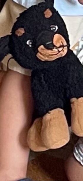 Un de nos petits voyageurs a égaré son doudou lors d'un trajet au départ de Cergy-Le Haut et en direction de Boissy-Saint-Léger. Il a une valeur particulière à ses yeux 🥹 Si vous le retrouvez, n'hésitez pas à nous interpeller ou à le déposer auprès d'un guichet. Merci ! #RERA