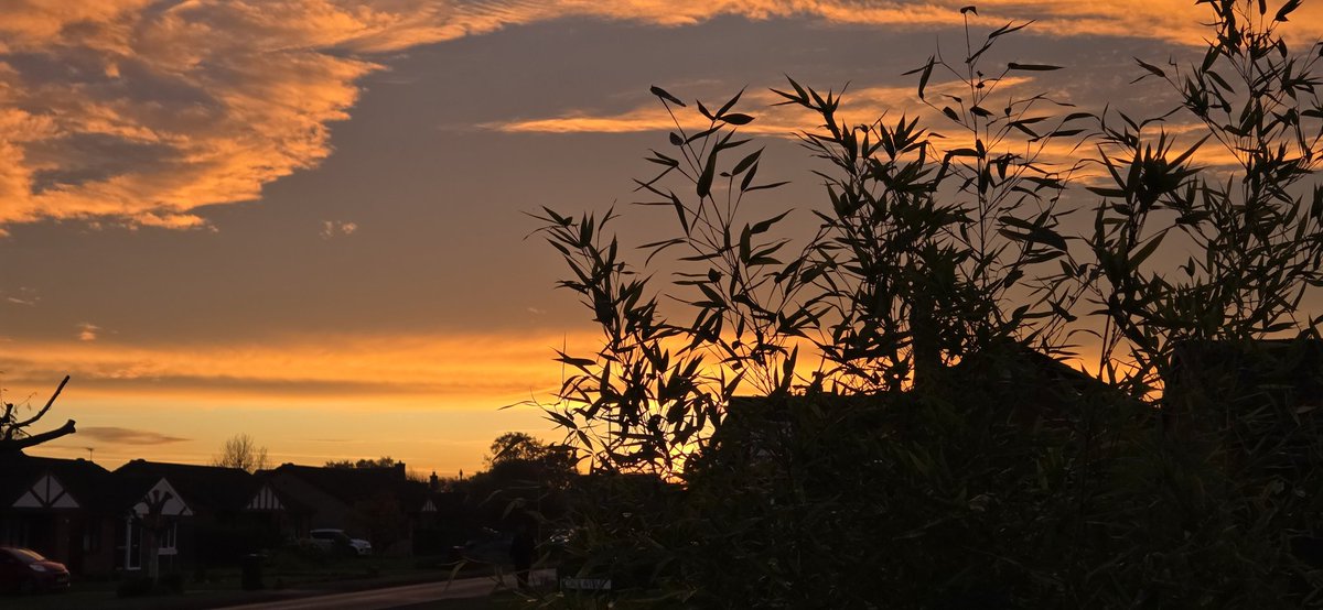 Leigh Stanfield tweet media