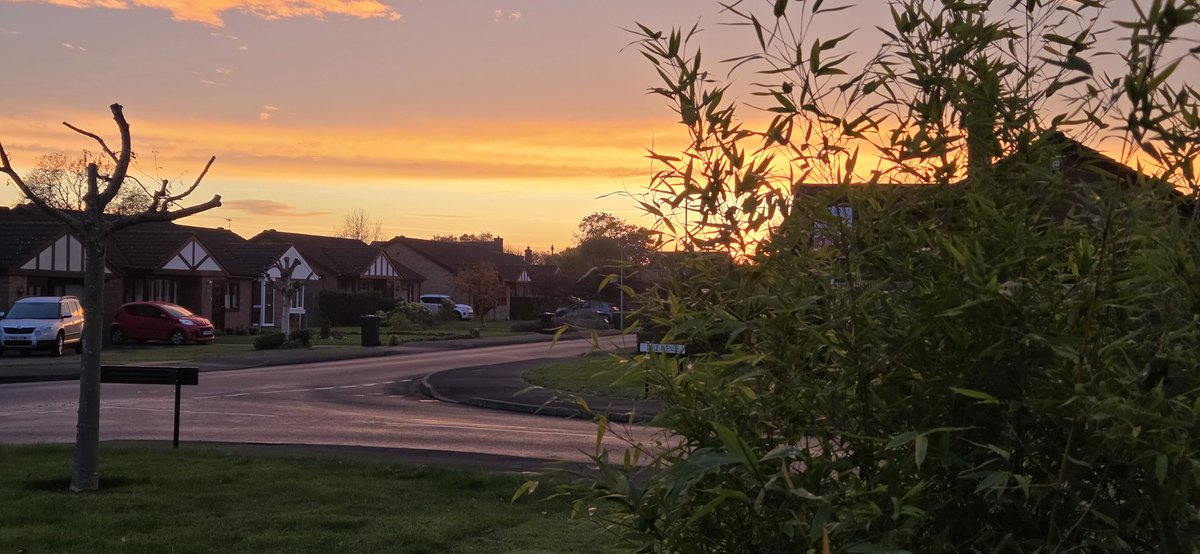 Leigh Stanfield tweet media