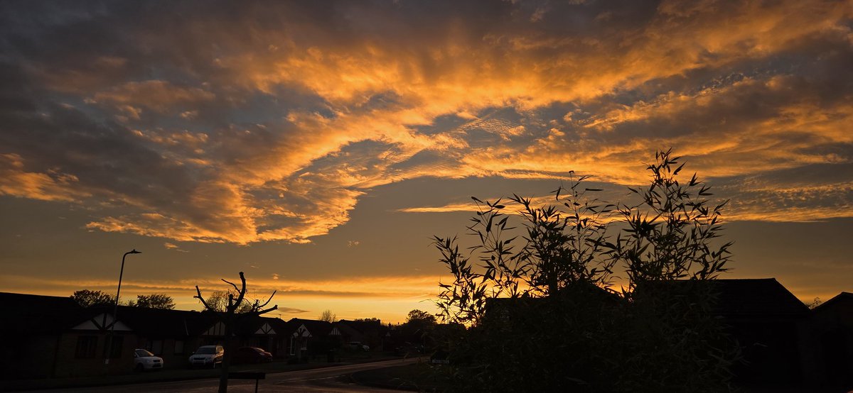 Leigh Stanfield tweet media