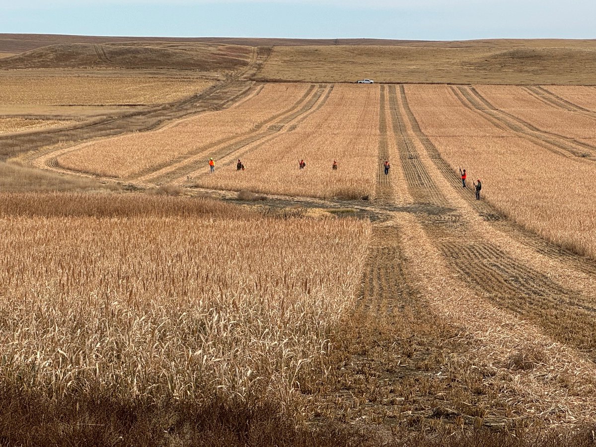 Can’t wait to see everyone at today’s YC Pheasant Hunt! Weather’s looking ideal—let’s make it a great one!
#agcsouthdakota #ycpheasanthunt