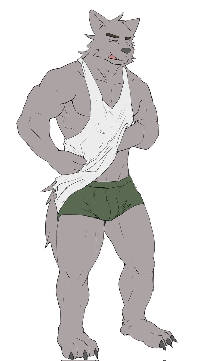 DukeSamoyed's tweet image. 