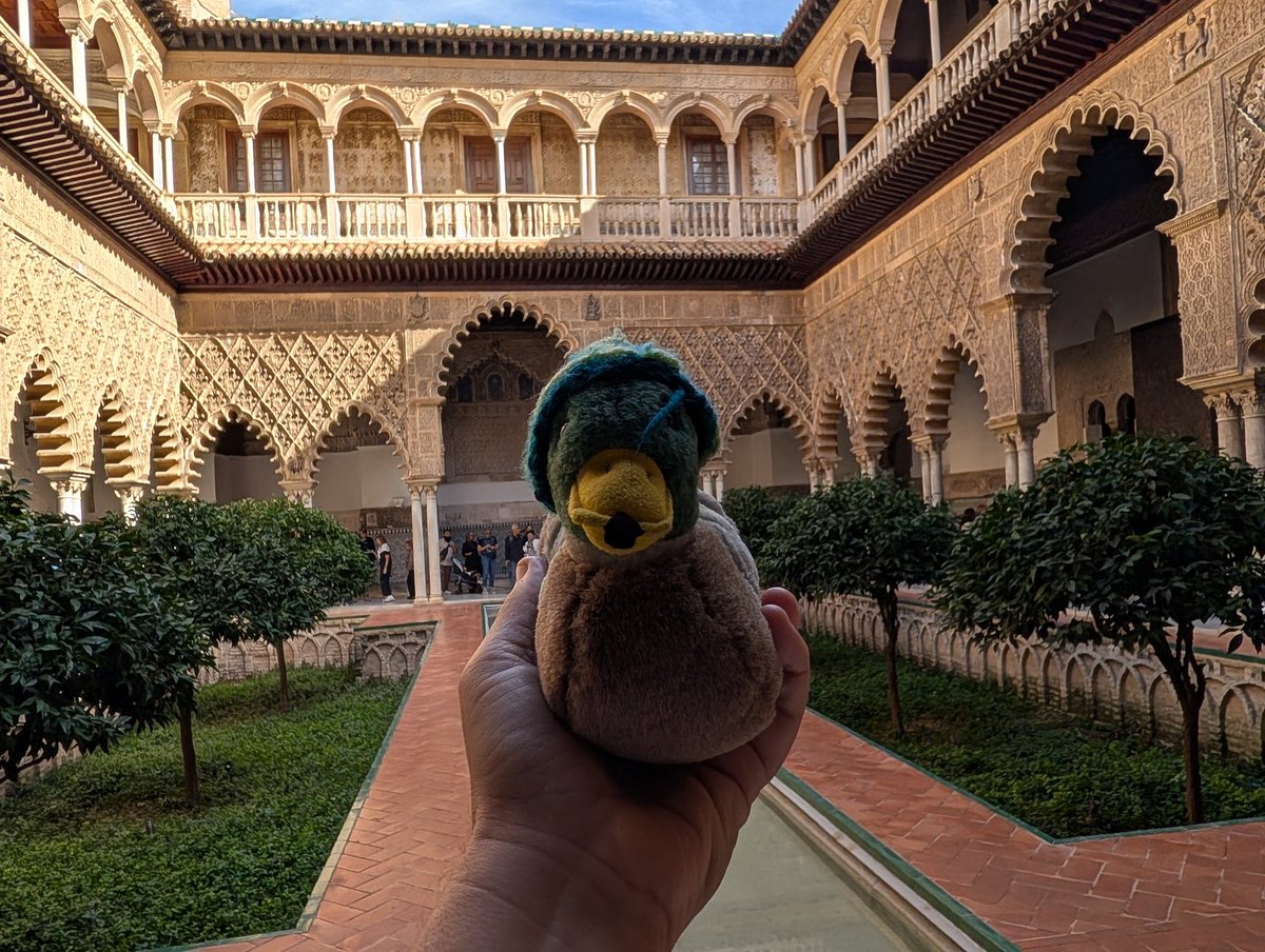 Mr Quacks tweet media