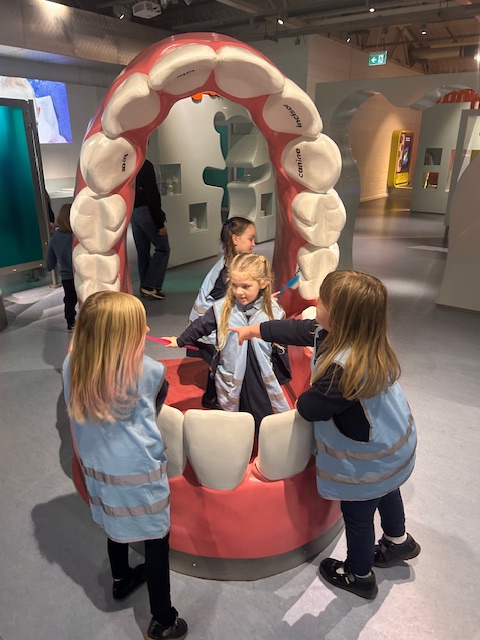 Fitzwilliam Primary tweet media