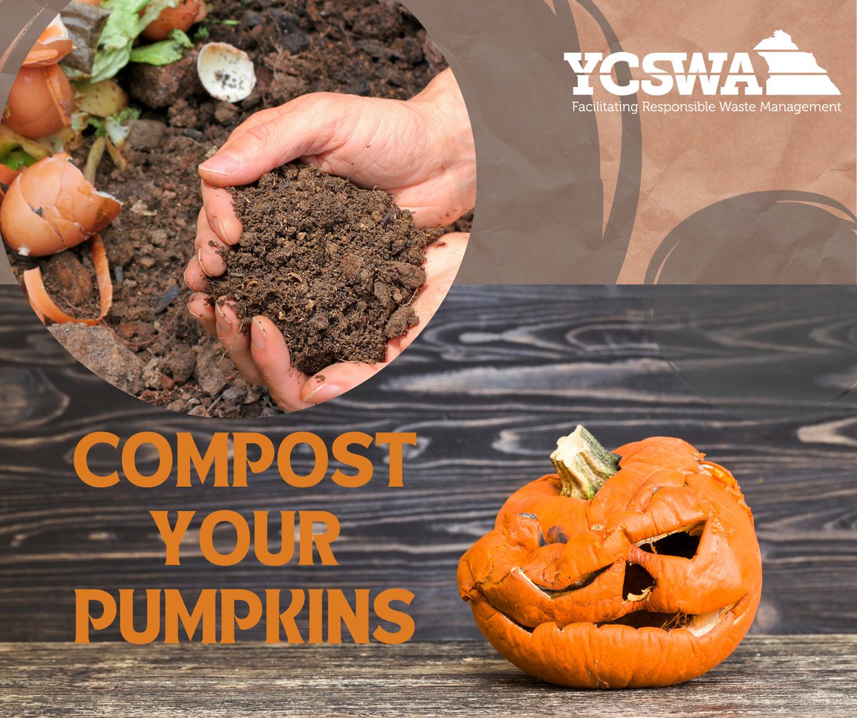 Use your rotting pumpkins and jack-o-lanterns to compost!

If you can’t compost your pumpkins or jack-o-lanterns, find a local farmer who can use them as a treat for their animals.

#keepyorkcountycleanandsafe