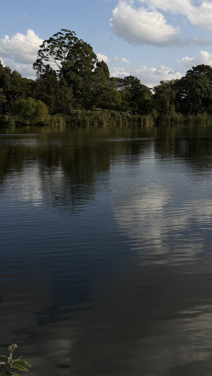 Alex Kamau tweet media