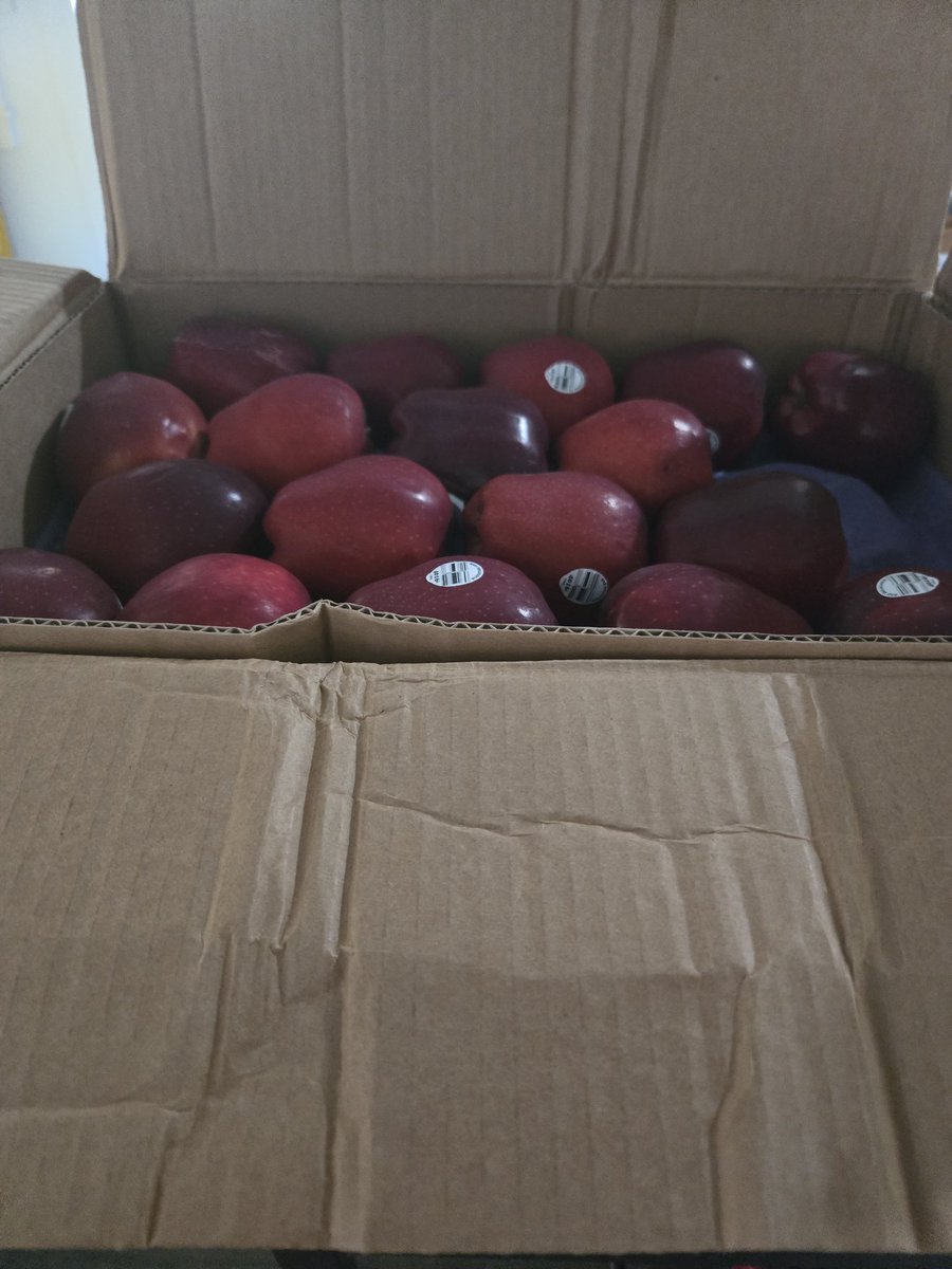 SugarLeafVT's tweet photo. I might not stream anymore, but owning 80 apples is something I do now! https://t.co/kqDVzghJl1