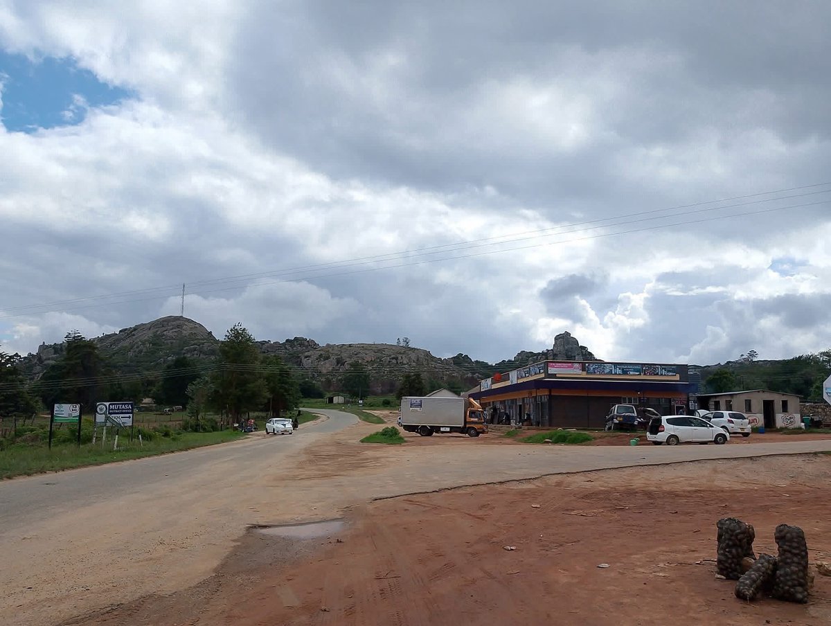 Futurist🇿🇼 tweet media