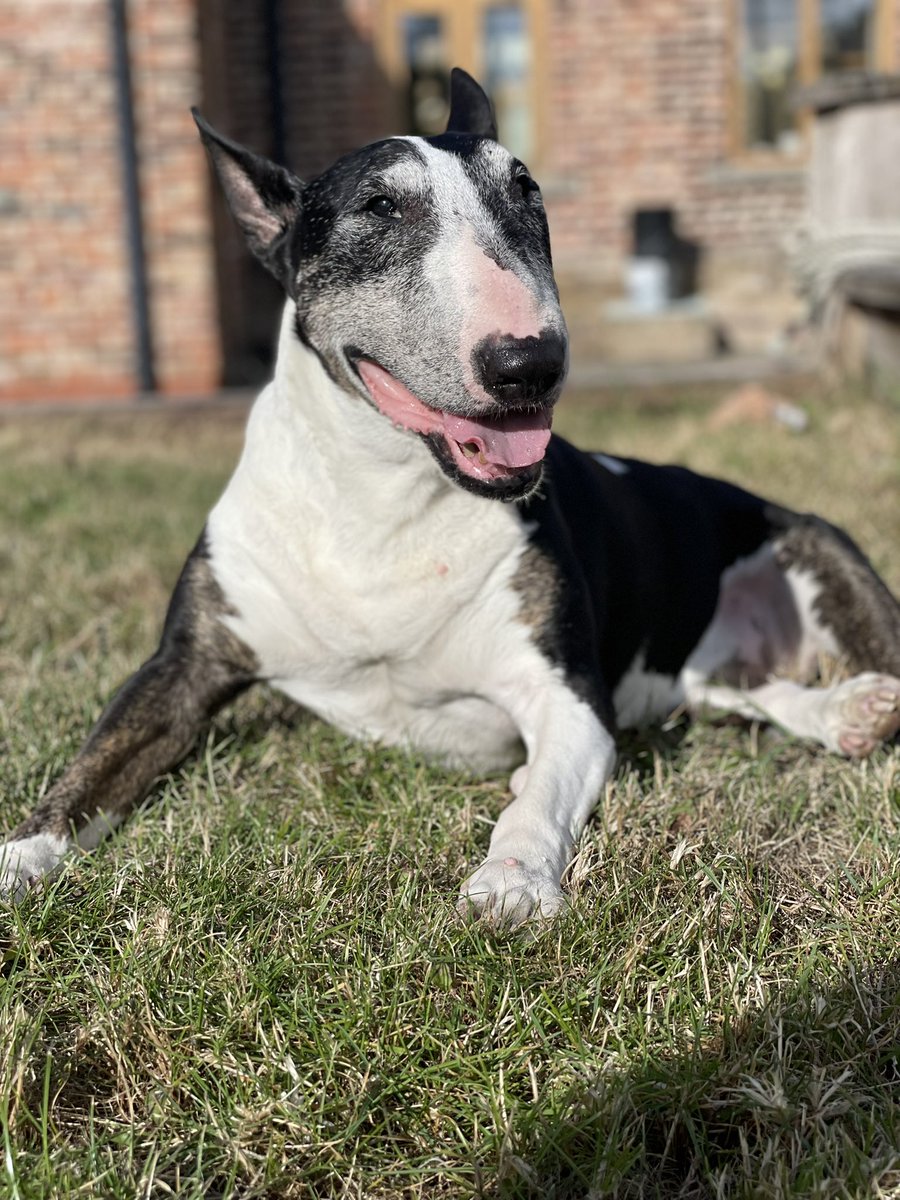 sheilaMol tweet media