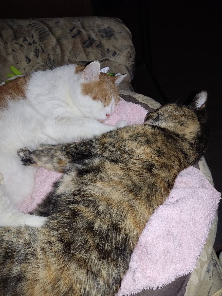 Hallöchen und ein kurzer Gruß von mir 🥰

Mir geht's zur Zeit nicht so gut, aber wenigstens mal huhu 👋 sagen ♥️