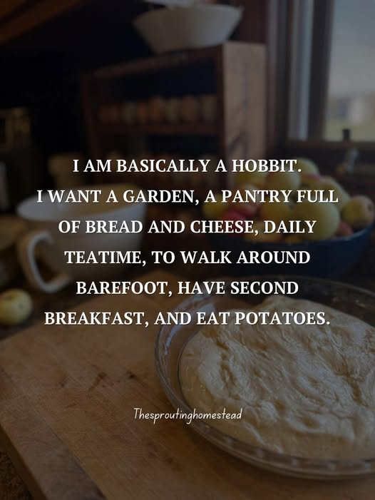 woofknight's tweet image. 