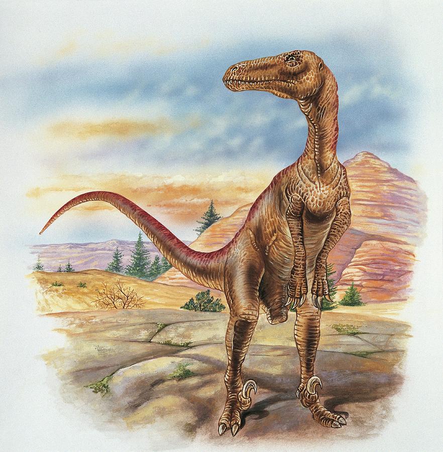 dinonostalgia's tweet photo. Utahraptor, the raptor from Utah, is a dromeosaurid dinosaur from the Early Cretaceous of North America. 

It lived from 139 to 134 million years ago and could grow to 7 meters in length. https://t.co/yPvuz9eVRa