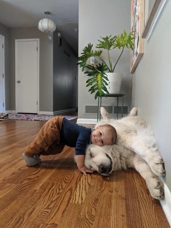 twaniimals's tweet photo. https://t.co/Hn91xIS2xP