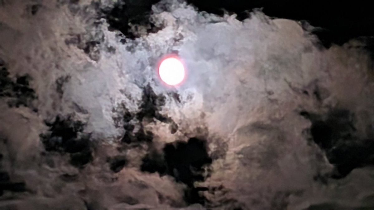 秋葉原工作室 on X