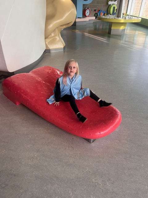 Fitzwilliam Primary tweet media