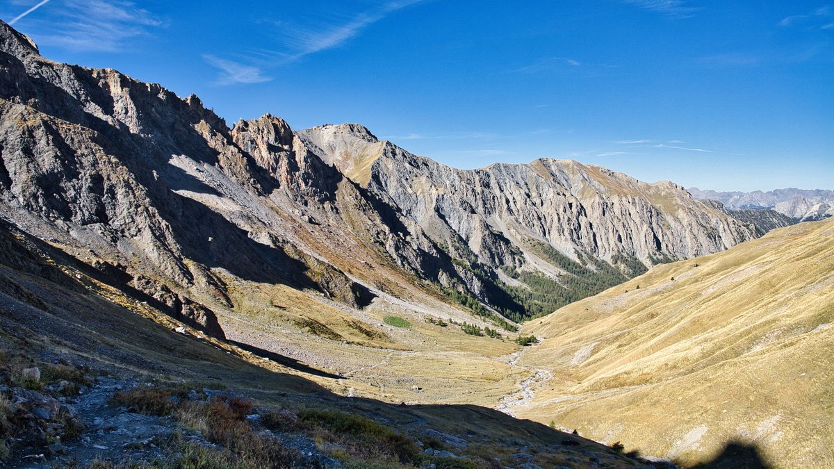 Franck Rando tweet media