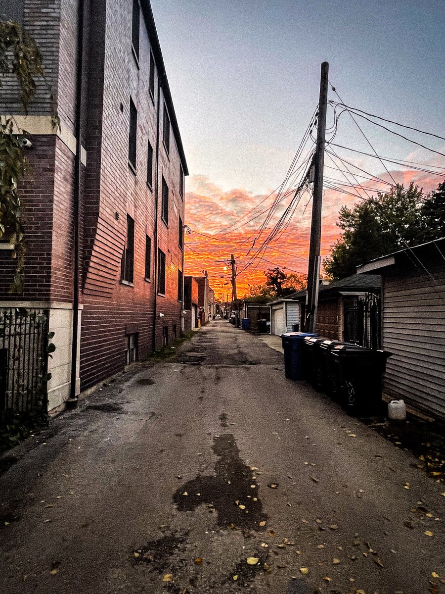 steve barbaro tweet media