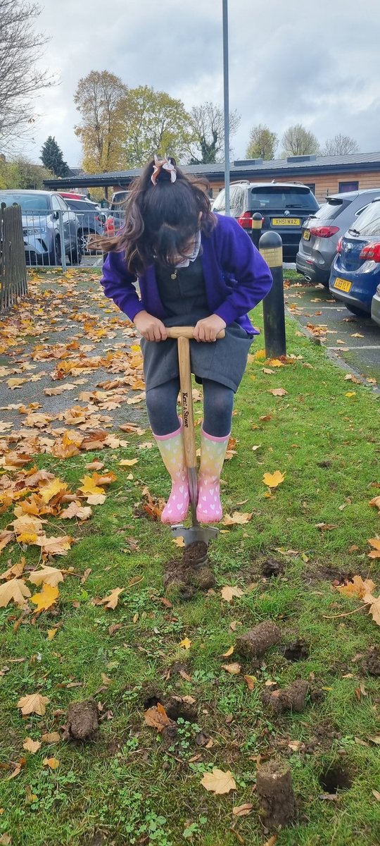 Downside Primary tweet media