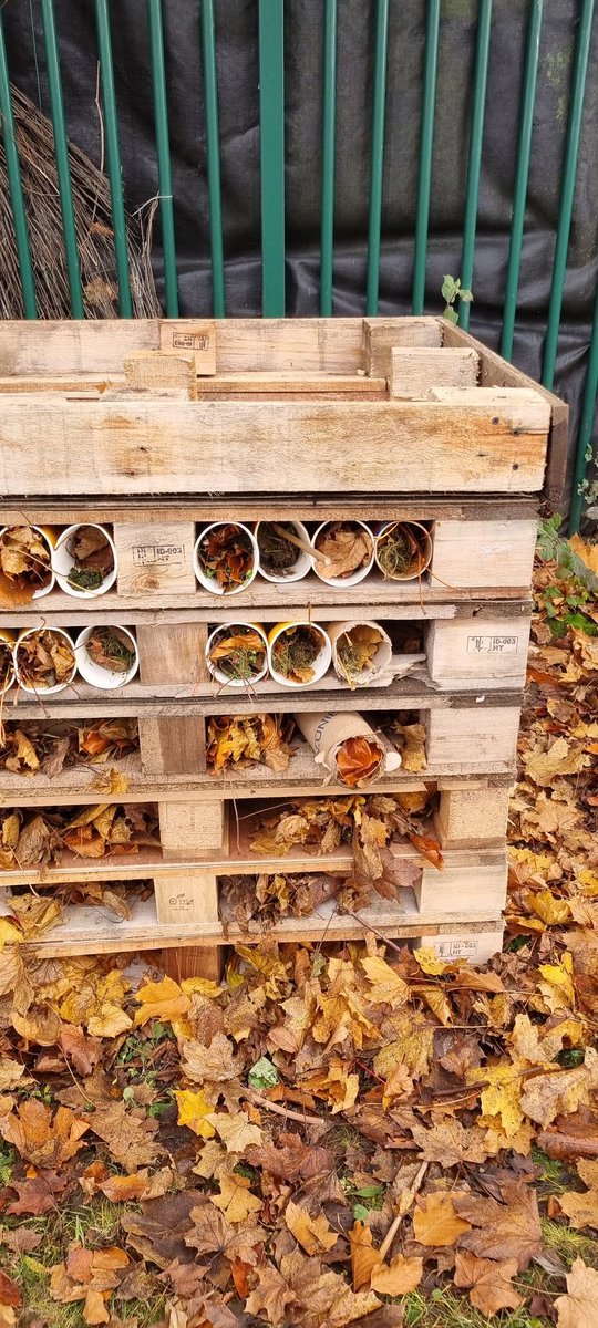 Downside Primary tweet media