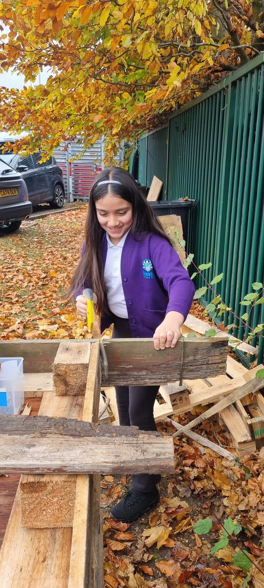 Downside Primary tweet media