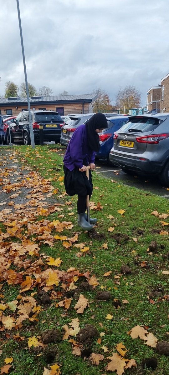 Downside Primary tweet media