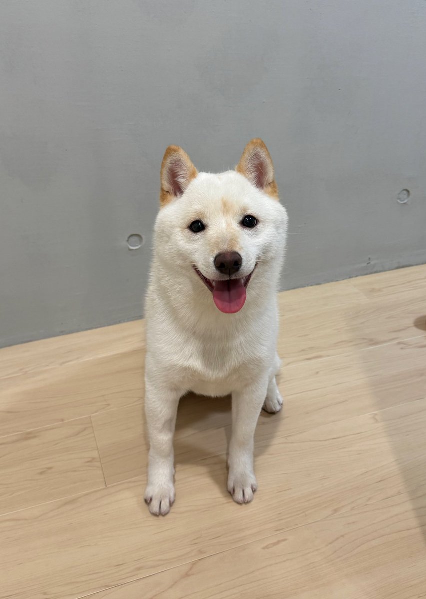 saku (@fps__saku) / Posts / X