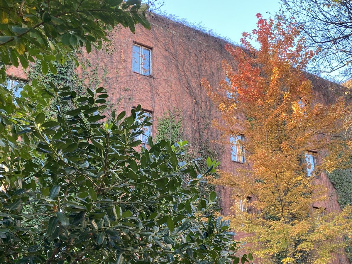 PalmeriJoAnn's tweet image. #FallColors on campus today near the Bizz 🍂#LibrariesFromTheOutside