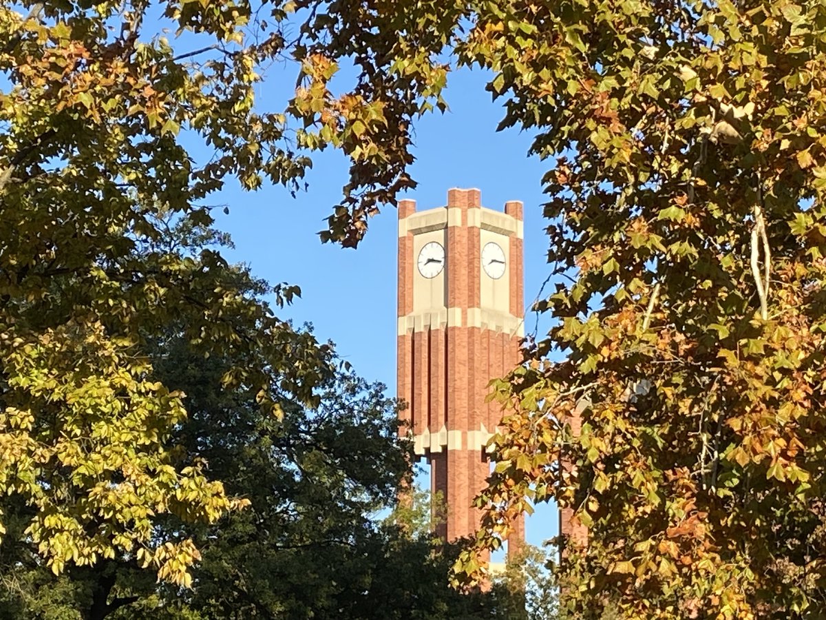 PalmeriJoAnn's tweet image. #FallColors on campus today near the Bizz 🍂#LibrariesFromTheOutside