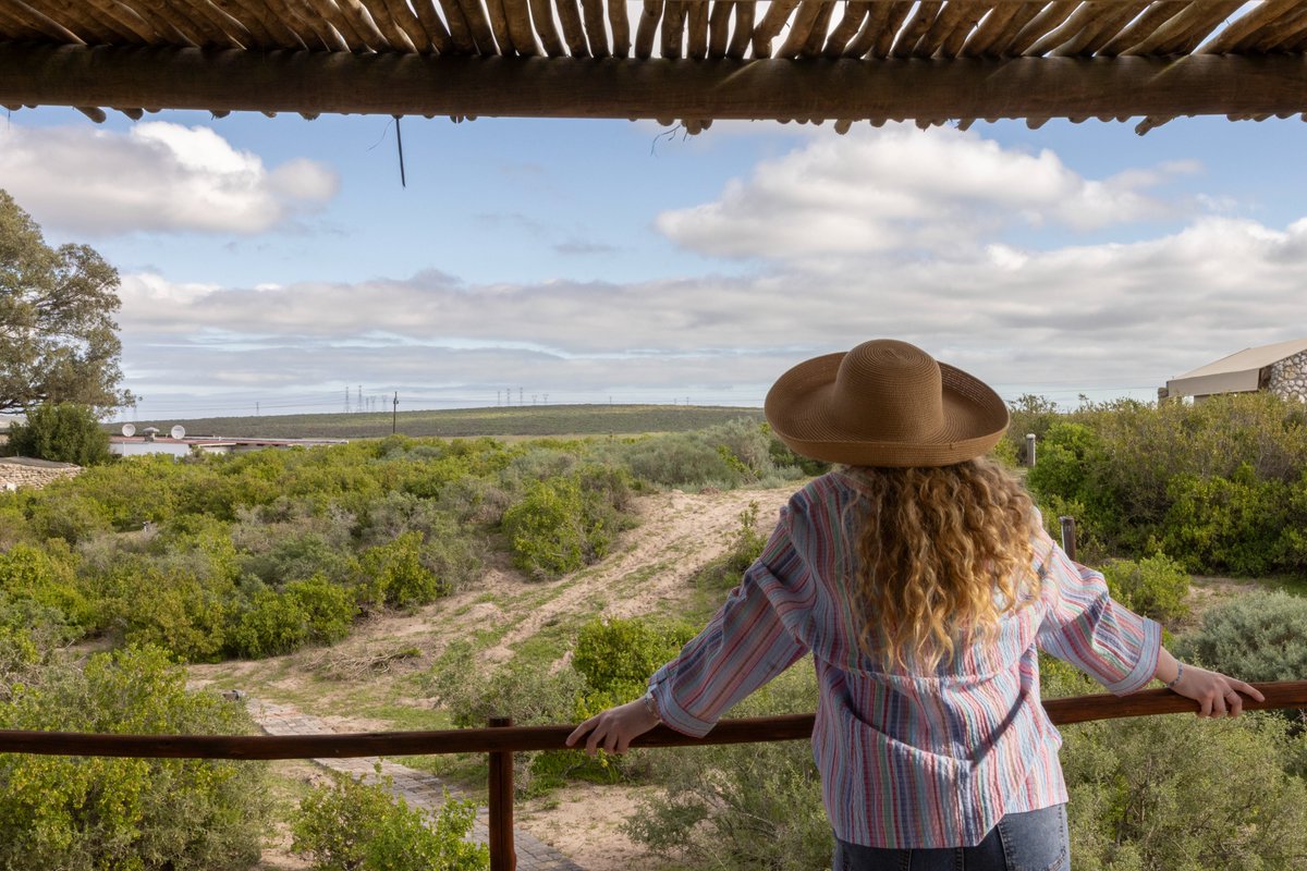 Good food, good wine, and good views? 😍 What more could you need?

Click the link to discover the jewel of the West Coast thalithali.co.za.

#ThaliThaliGameLodge #WestCoastWay #langebaan #capewestcoast #travelsa
