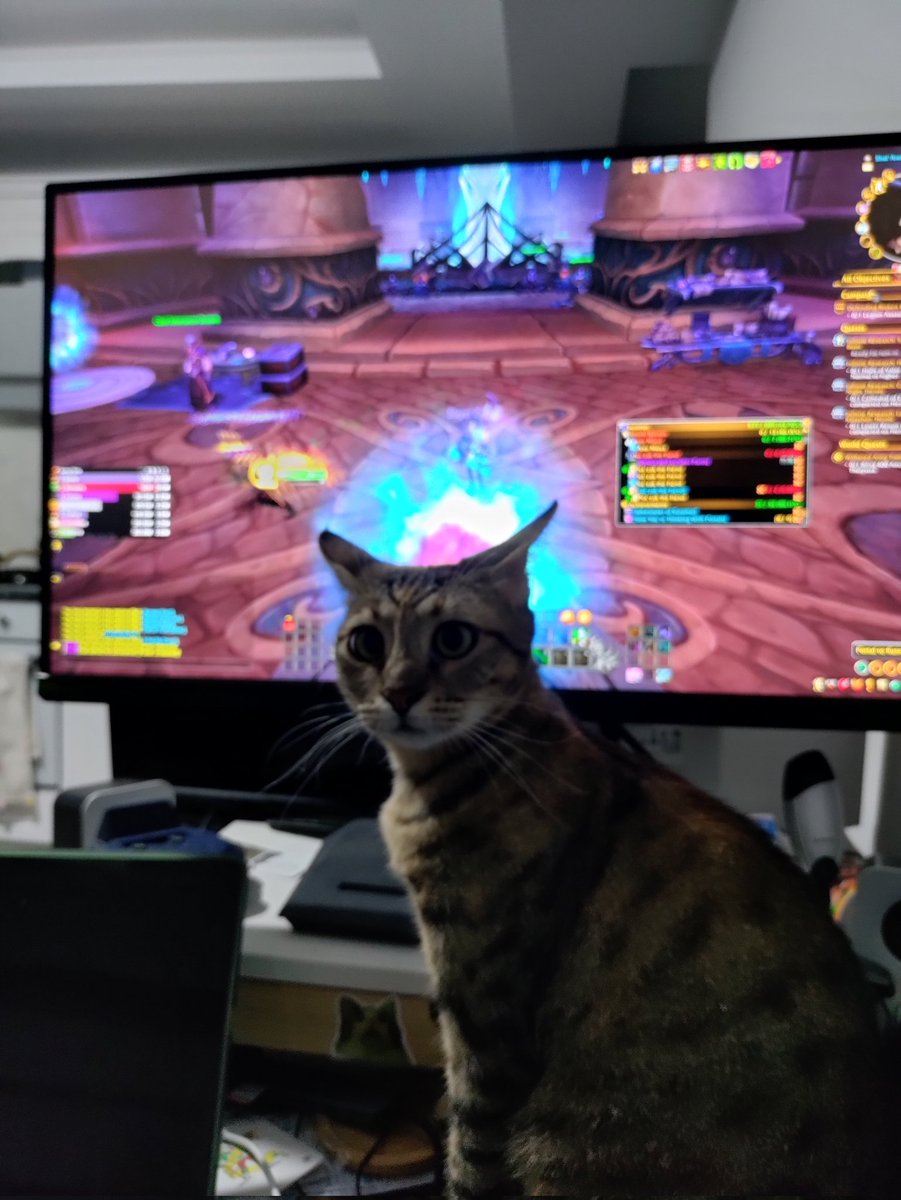 Siz raid girin bana kedim izin vermiyor