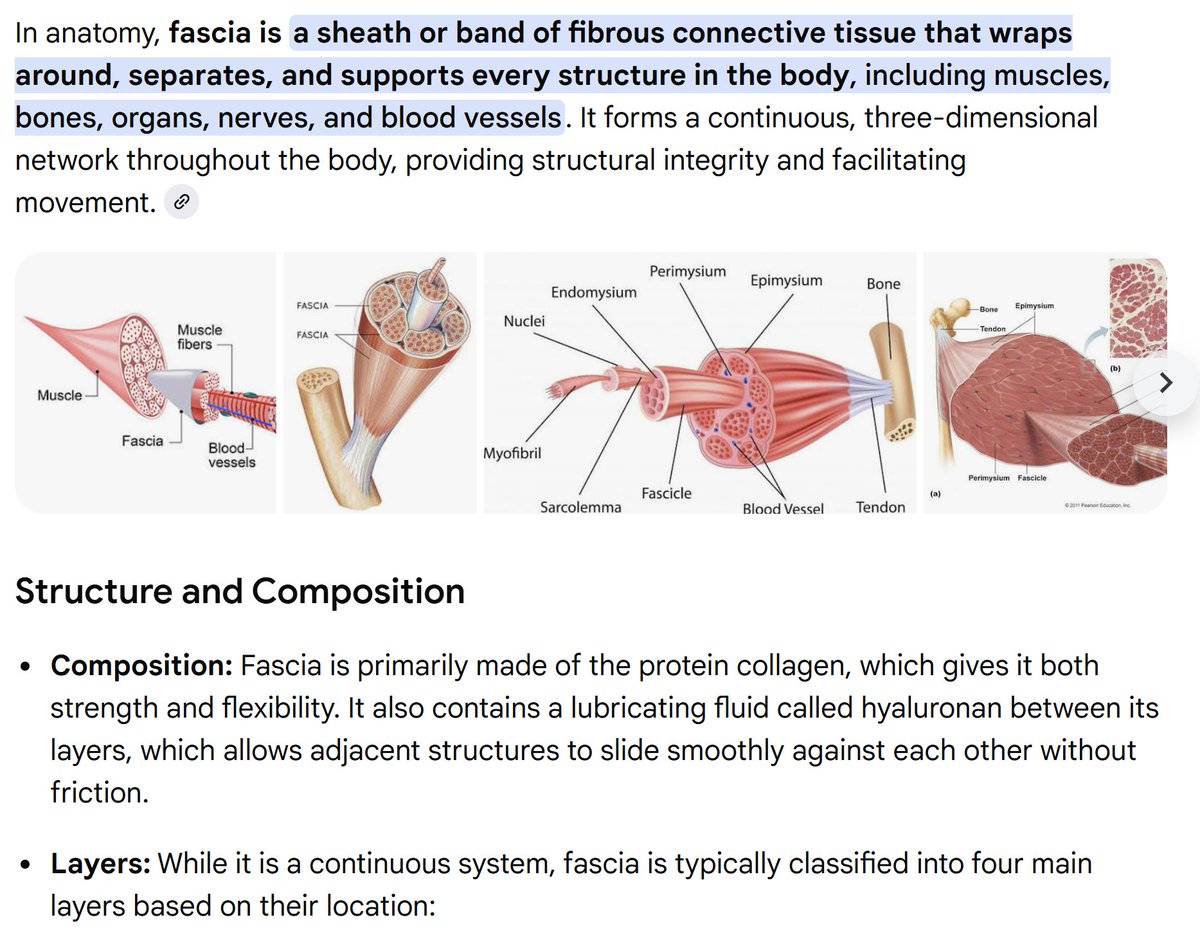뱃살리치 @nurse_how - Twitter Profile | TwStalker