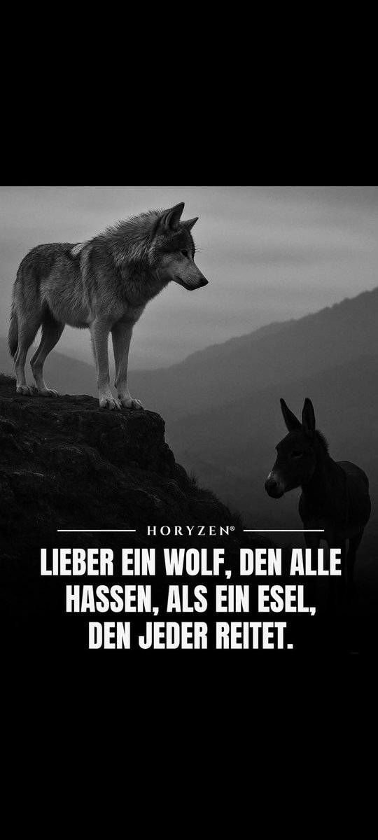 Maker83994128's tweet photo. Better to be a wolf that everyone hates than a donkey that everyone rides. https://t.co/oYTxLfvcpf