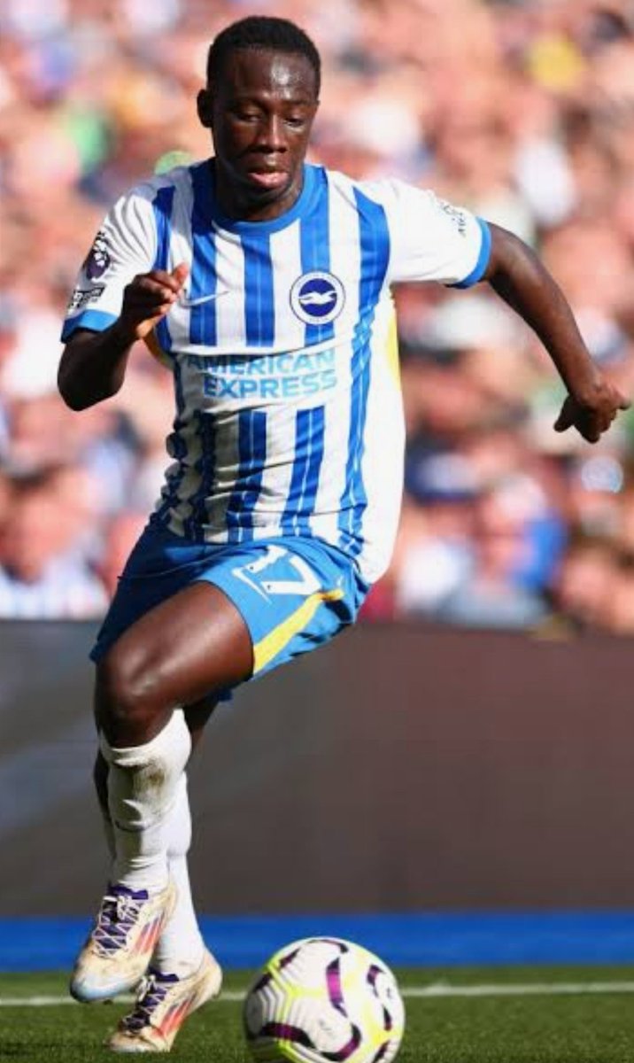 FPL Gold Fish- Yaniv Salomon tweet media